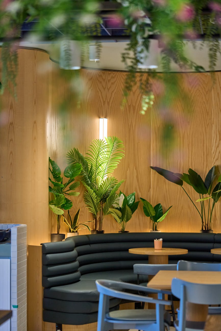 Cozy indoor cafe with green plants and a wooden interior in Auckland.